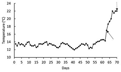 Effects of dietary Hyssop, Hyssopus officinalis, extract on physiological and antioxidant responses of rainbow trout, Oncorhynchus mykiss, juveniles to thermal stress